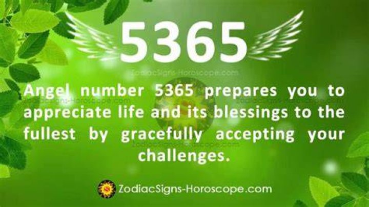 5365 angel number