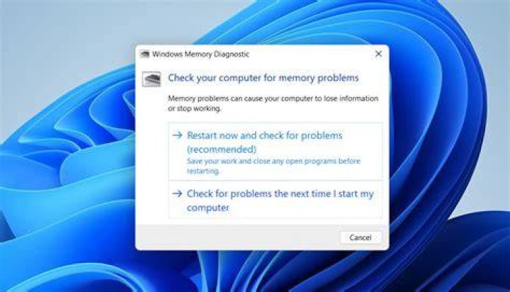 A Windows Memory Diagnostic search result A Windows Memory Diagnostic search windows 11 keeps freezing