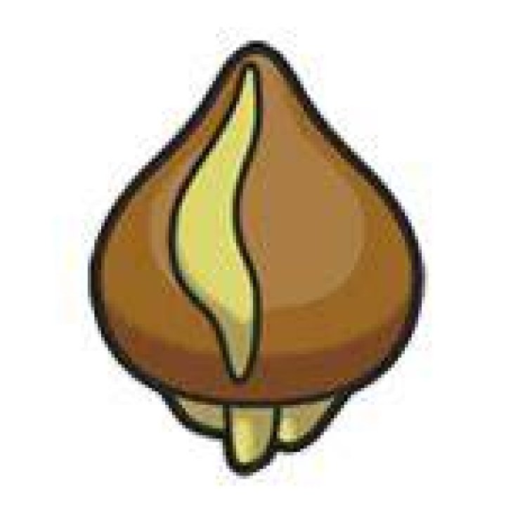 Absorb Bulb