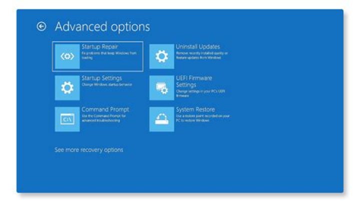 Advanced options in Settings Advanced options Fix Error 0x800700d8 on Windows 10