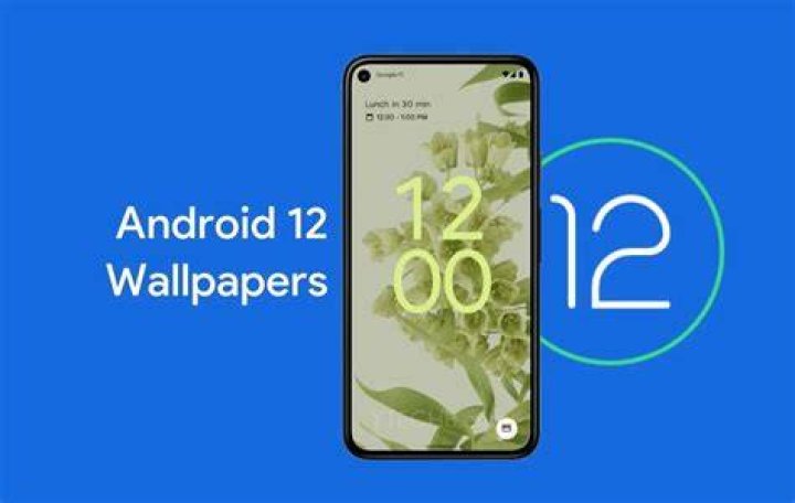 Android 12 stock photo 1 Android 12 stock photo 1