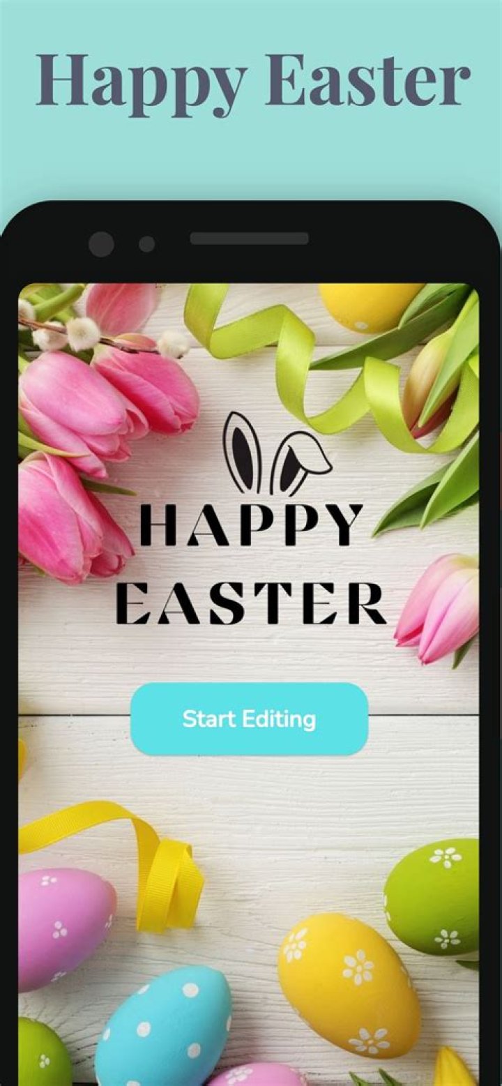 Google Pixel 3 Android 9 Pie Android 9.0 Pie - Easter egg