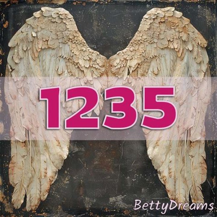angel number 1235