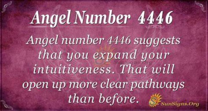 angel number 4446
