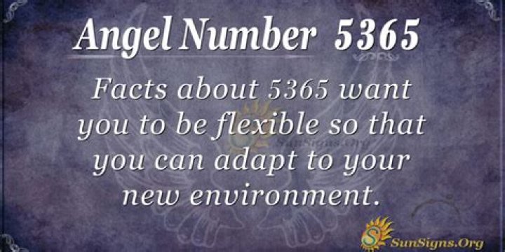 Angel Number 5365 Meaning: Accepting Changes