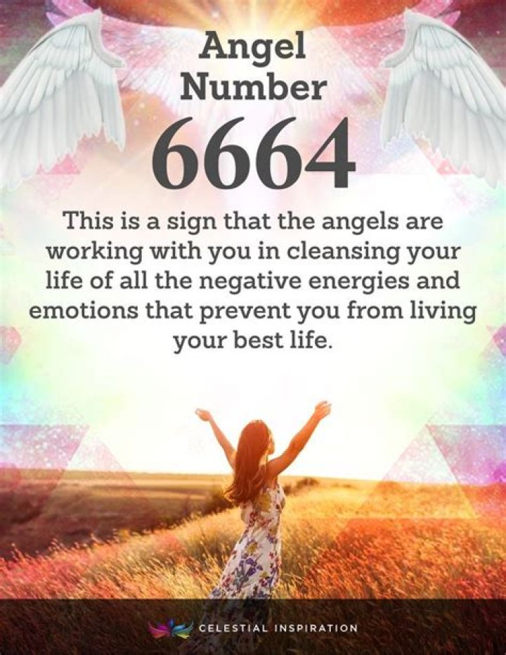 Angel Number 6664