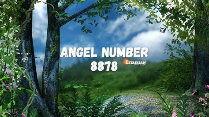 Angel number 8878