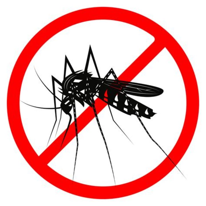 Anti Mosquito Anti Mosquito