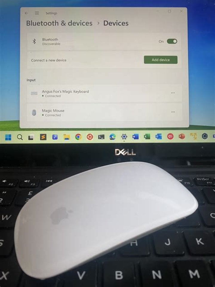 Apple Magic Mouse won’t connect to Windows 10/11 [Quick Fix]