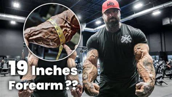 Are Big Forearms Genetic