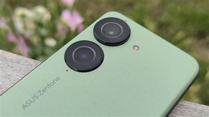 Asus Zenfone 7 Pro main camera sample of a moor