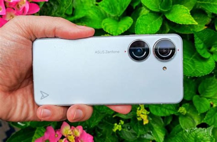 Asus Zenfone 7 Pro panorama in a yard Asus Zenfone 7 Pro panorama in a yard