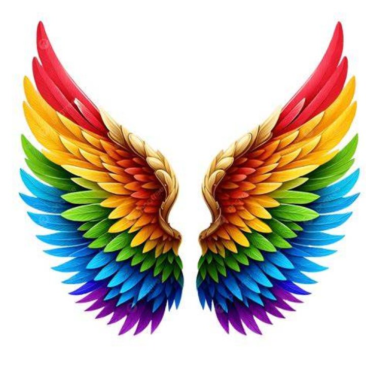 Bag Rainbow Wing Sprite.png