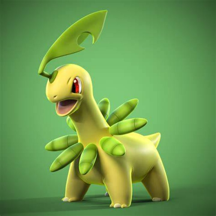 Bayleef