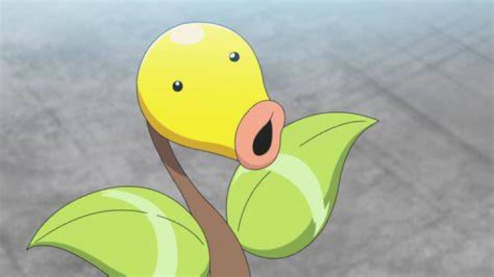 Bellsprout