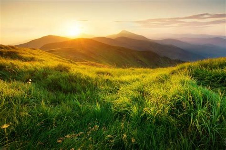 Best Nature Sound Generator Software