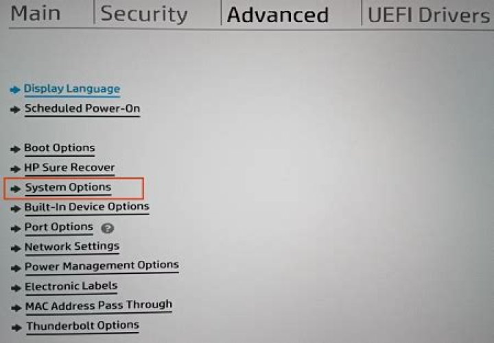 bios advanced options