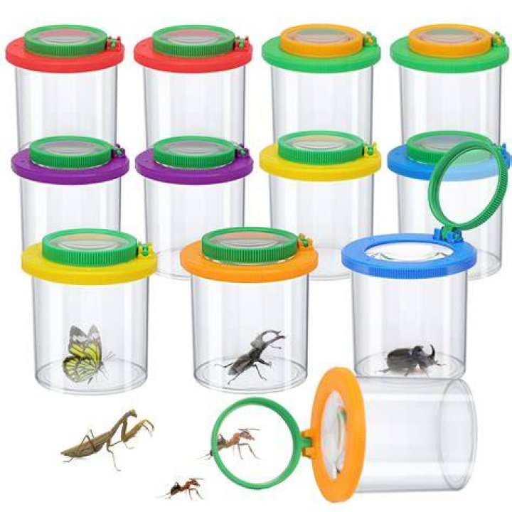 Bug Catcher BDSP OD.png