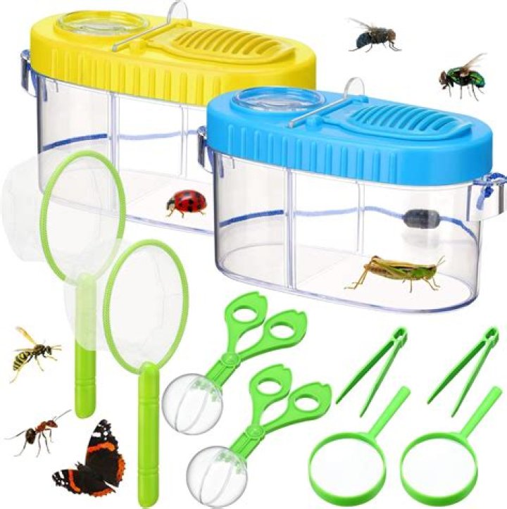 Bug Catcher II OD.png