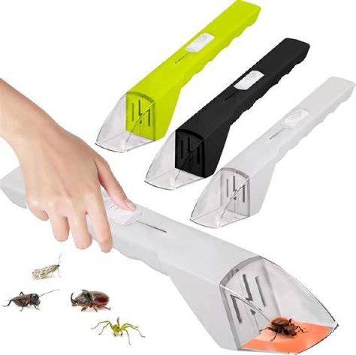 Bug Catcher's Scyther