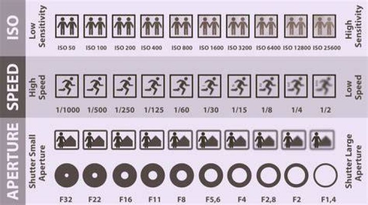 Camera Focus Latency (Shooting ISO 12233 Target)