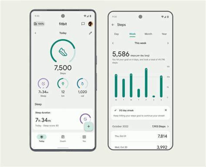 Can you manually log steps in the Fitbit app?