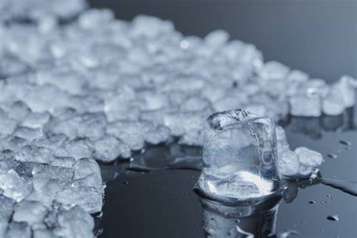Casey Peta Ice Face.png
