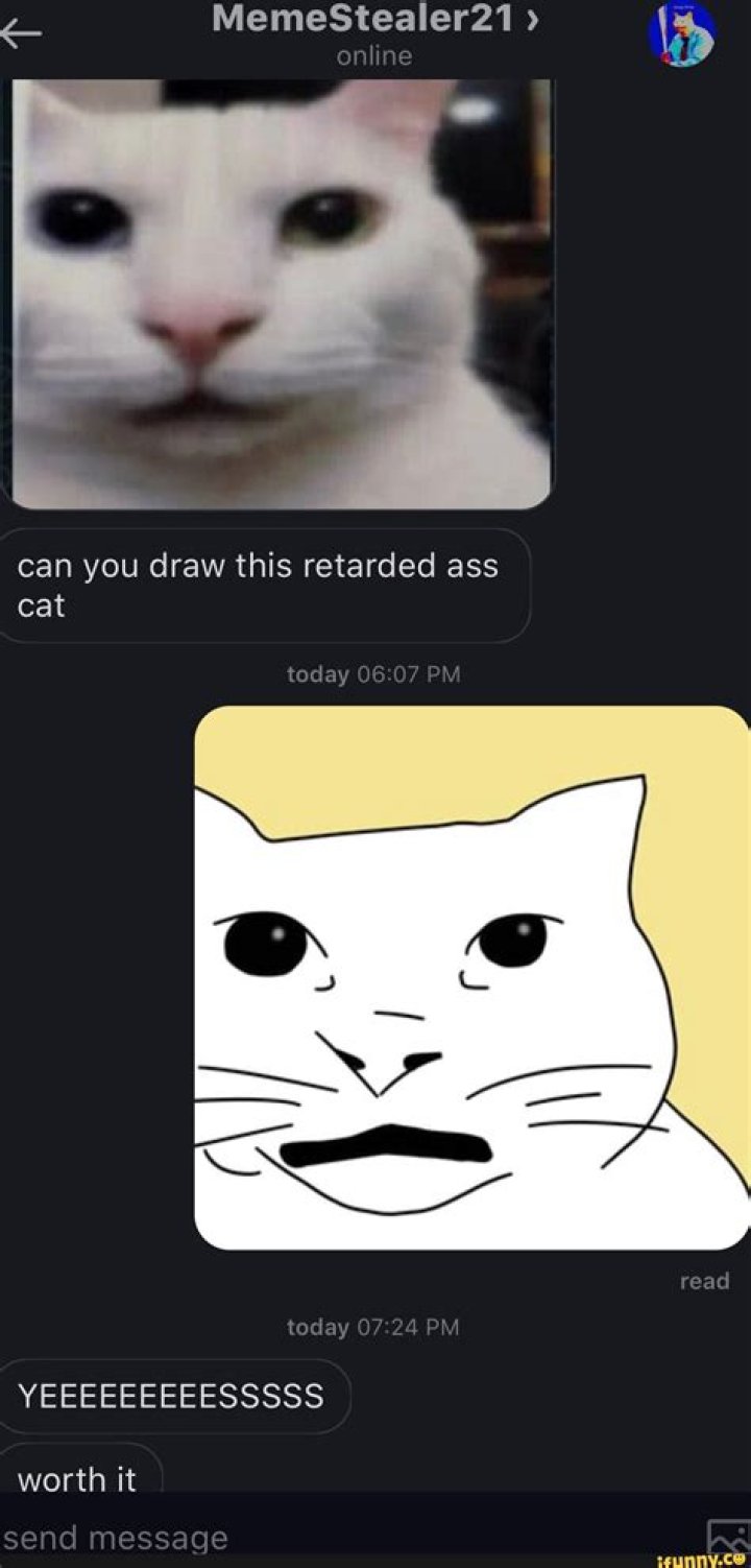 Cats Are Retarded