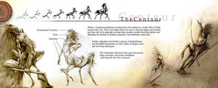 Centaurs Are Insects