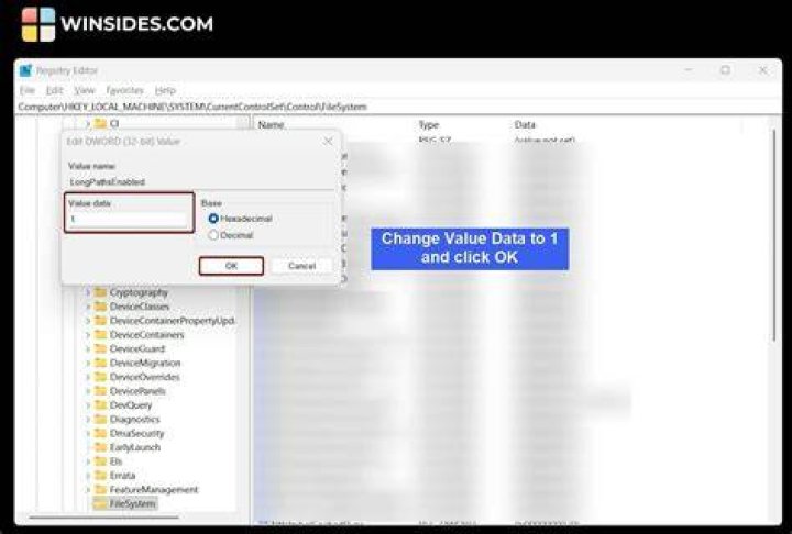Change value data to 00000000