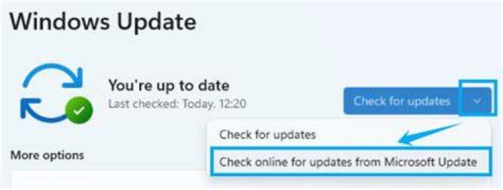 Check for updates to fix NSIS error in Windows 11