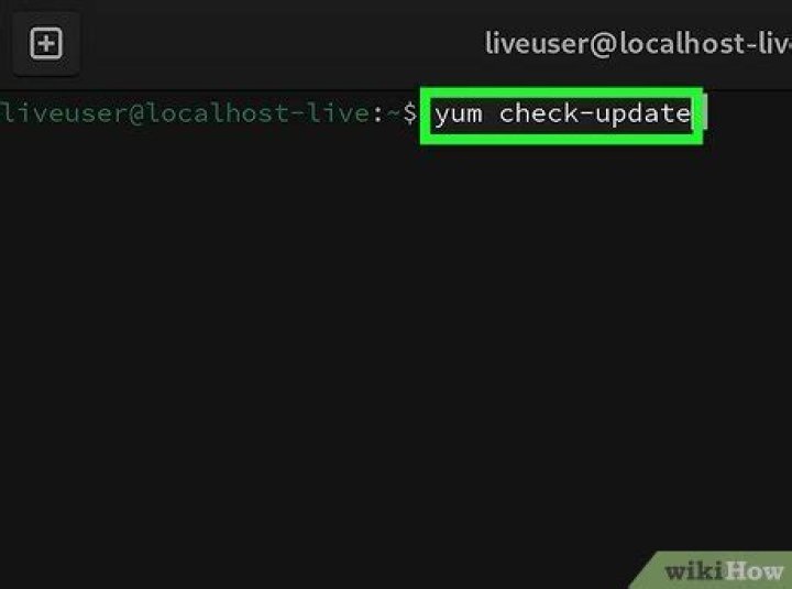 check update