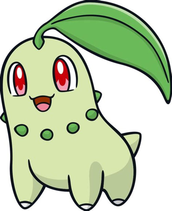Chikorita