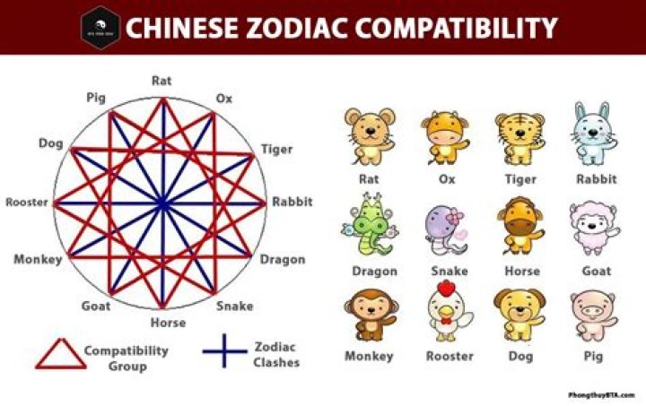 chinese monkey zodiac compatibility with dragon. The Chinese astrology compatibility between the monkey and dragon is excellent as they have a lot in common.