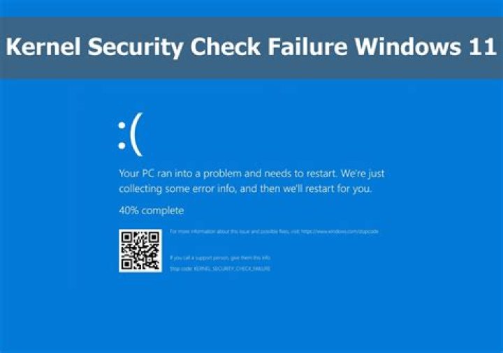 chkdsk kernel security check failure windows 11