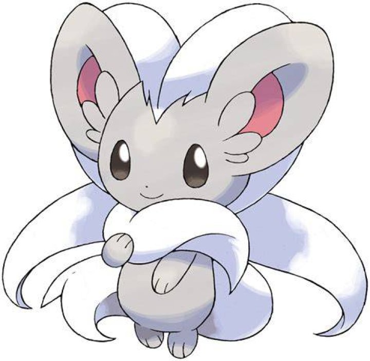 Cinccino