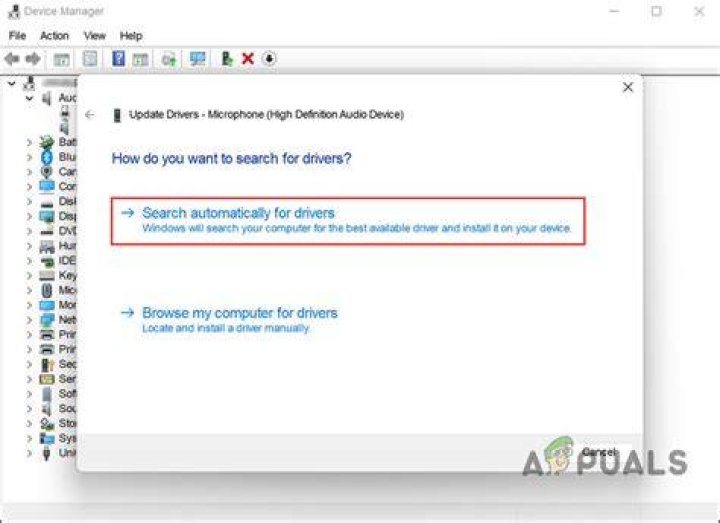 Click on Search automatically for drivers