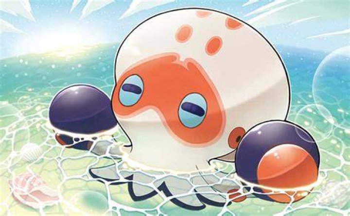 Clobbopus