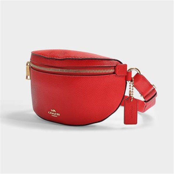 coach belt bag