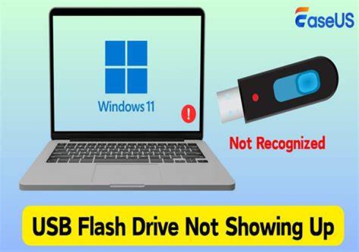 computer not recognizing adobe flash player