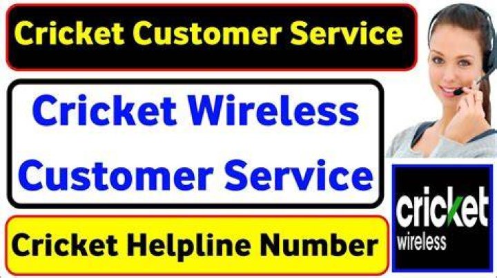cricket-service cricket-service