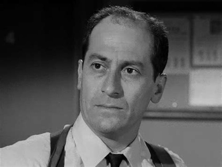 David Sheiner in a 1966 episode of The Fugitive, 'Shadow of the Swan