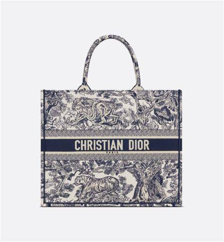 Dior Large Book Tote