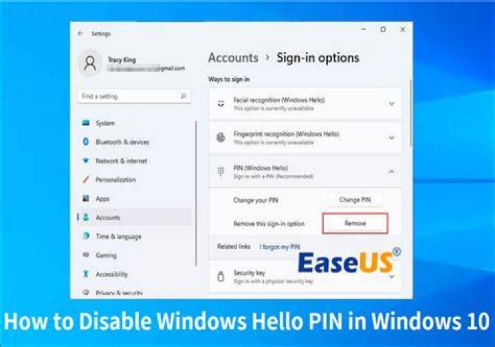 Disable only Windows Hello sign in option