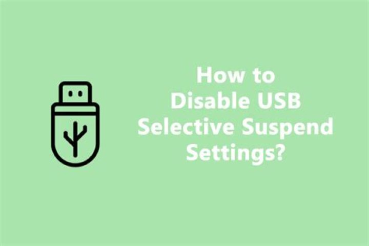 disable USB selective suspend settings in advanced power options
