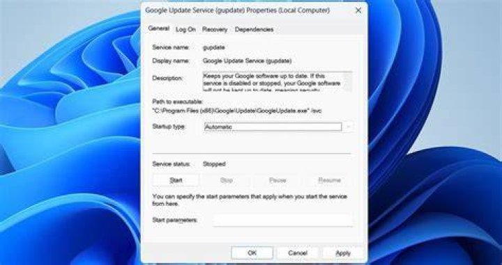 disabling google update service win