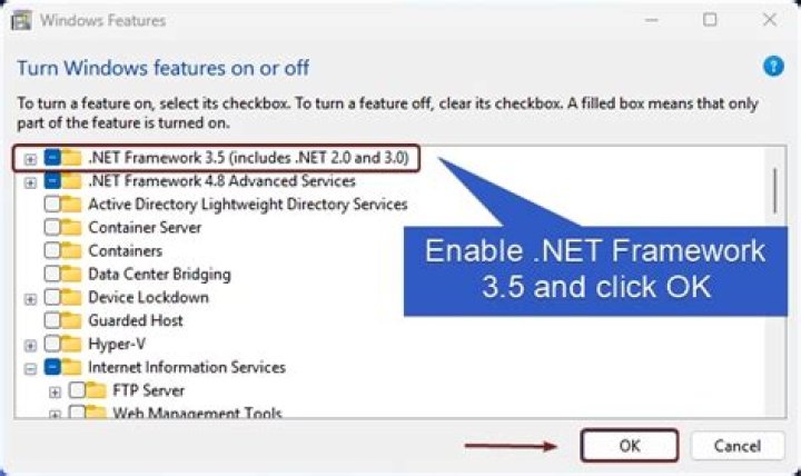 DISM enable net framework