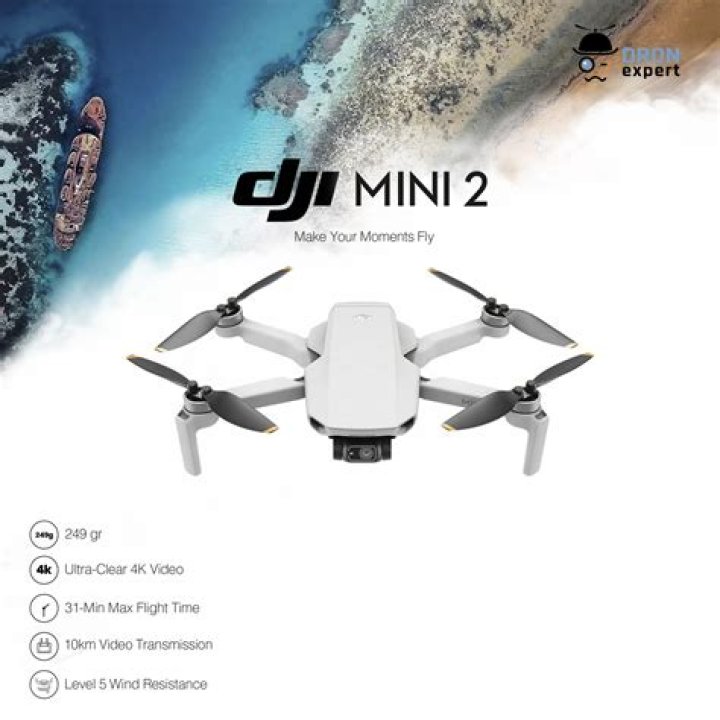 DJI Mini 2 flying front bushes DJI Mini 2 flying front bushes
