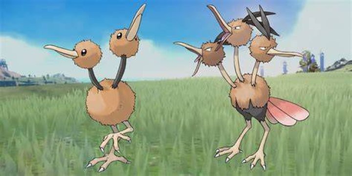 Doduo