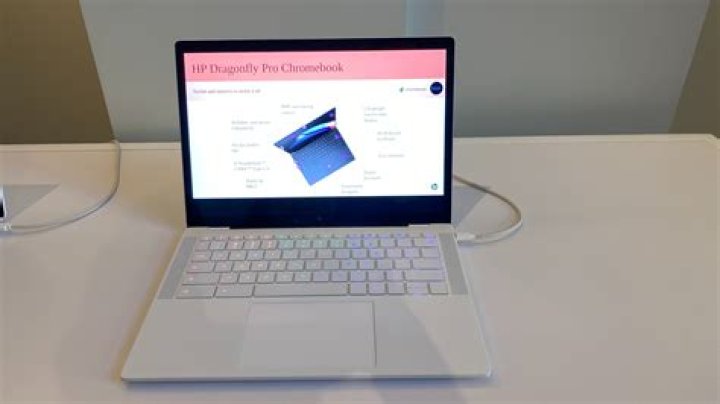 dolphin chromebook portable browser